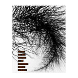 Mad Mind 2 (Print Only) thumbnail