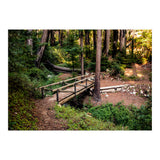Ewoldsen Loop Bridge (Print Only) thumbnail