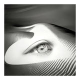 Untrue (Print Only) thumbnail