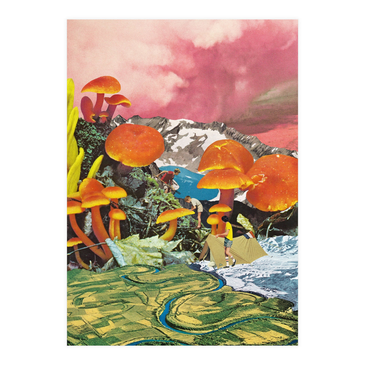 Mushroom Valley (Print Only)