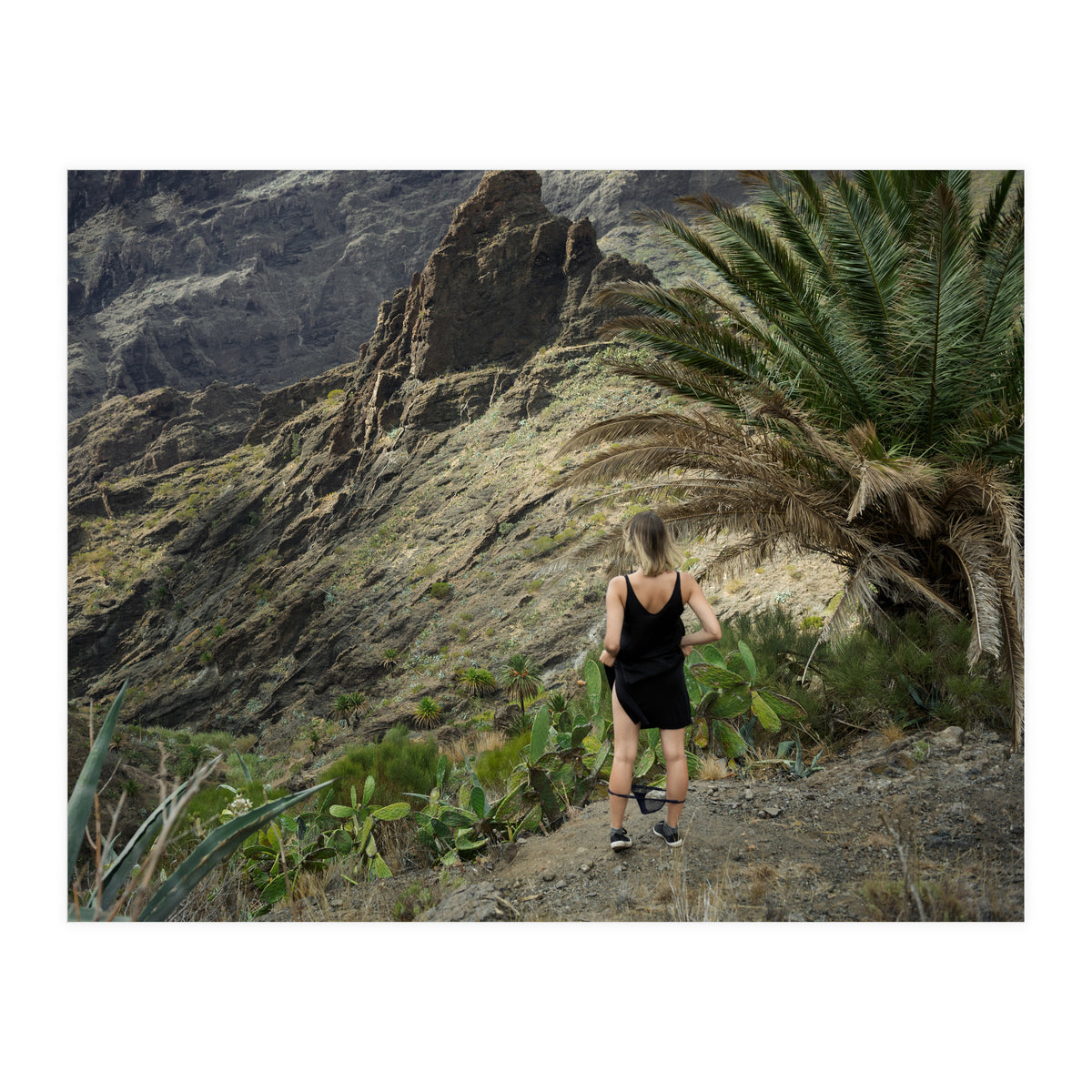 Where the F*** am I? (Print Only)