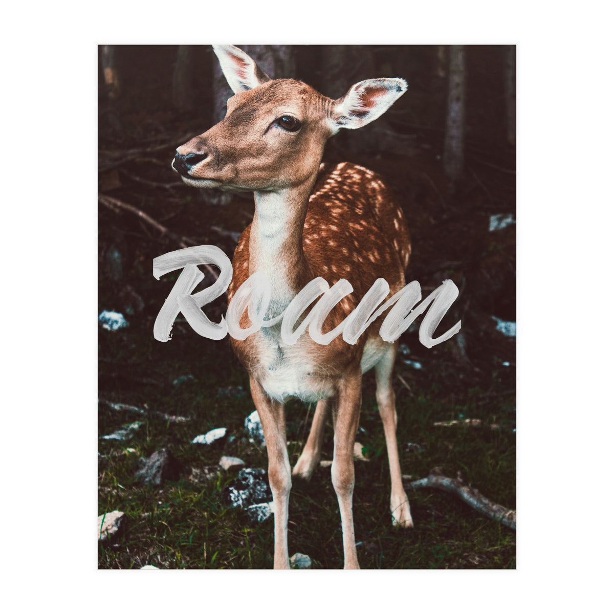 Roam (Print Only)