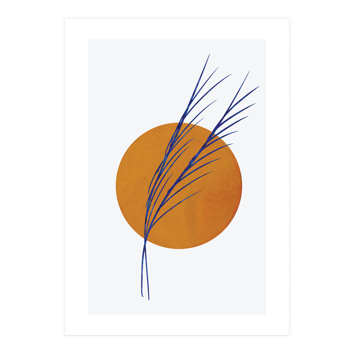 Floral Abstract Study 2  (Print Only)