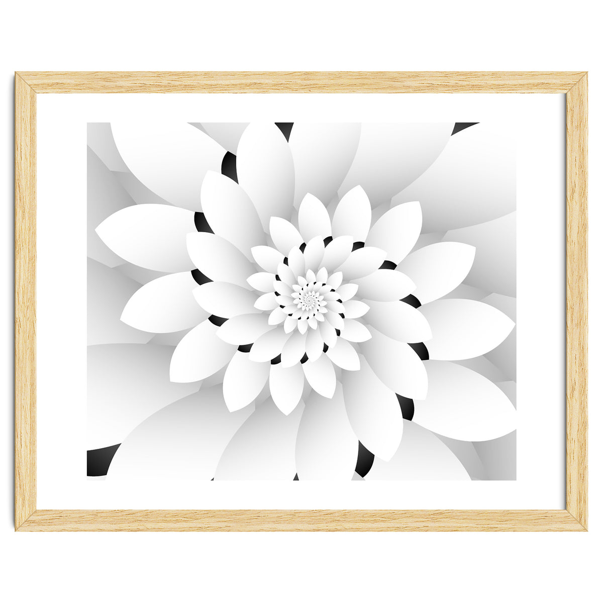 Monochrome Floral Design