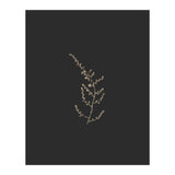 Delicate Golden Fynbos Botanicals on Black (Print Only) thumbnail