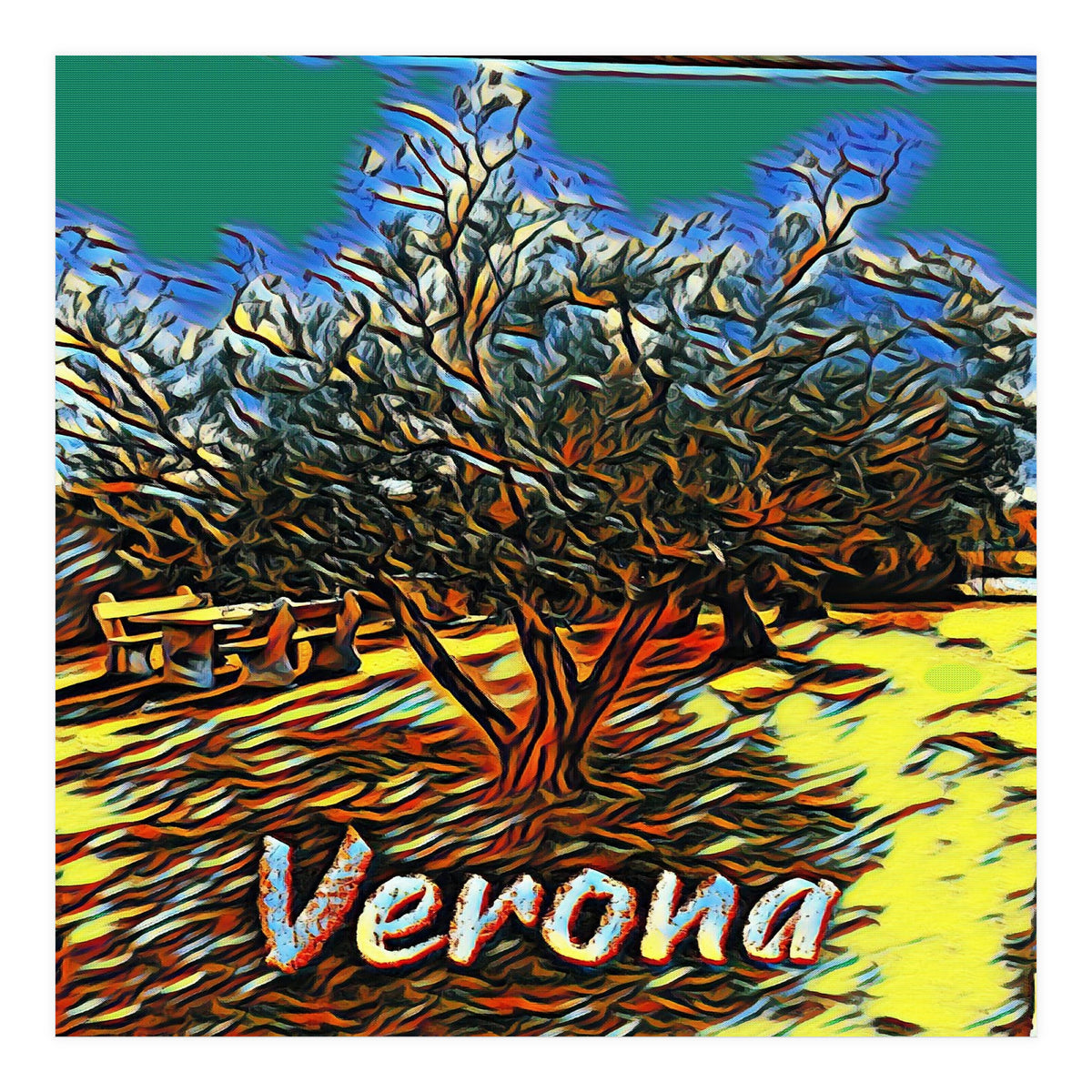 Colorful Olive tree in Verona, Italy. (Print Only)