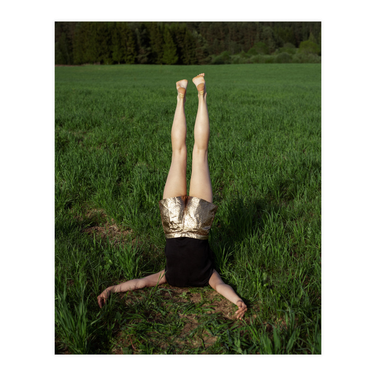 Gravity (Print Only)