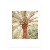 Tropical 2 (Print Only) thumbnail