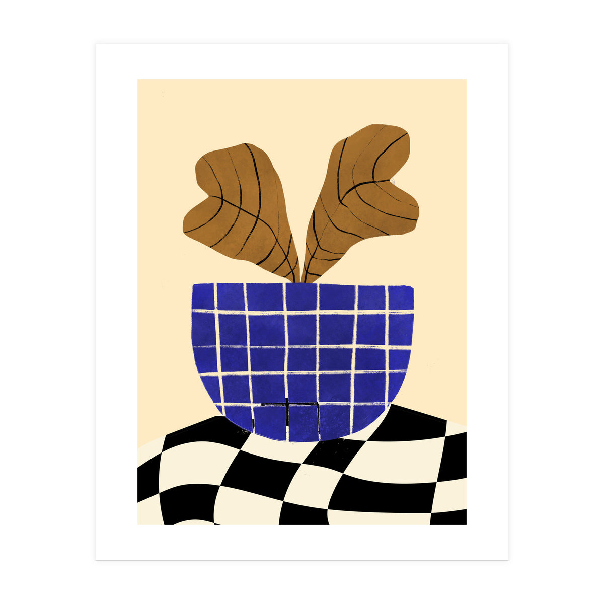 Heuchera (Print Only)