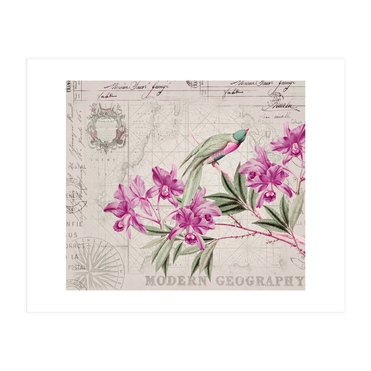 The Birds Voyage Of Discovery (Print Only)