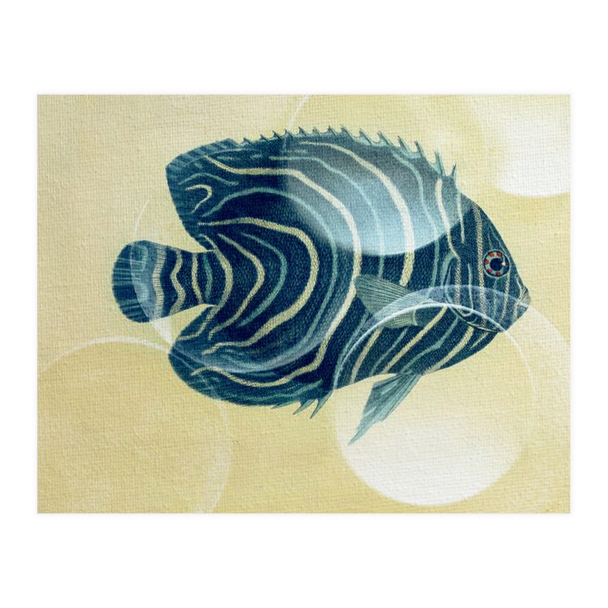 Fish Between Circles (Print Only)