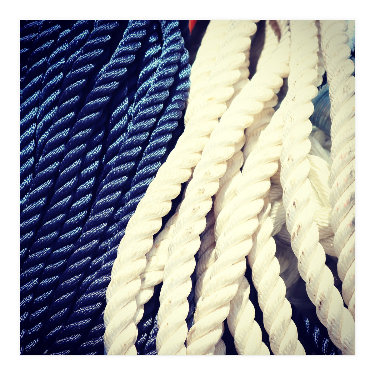 Blue and white fishing rope (Print Only)