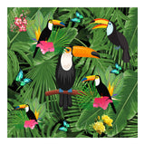 Toucan (Print Only) thumbnail