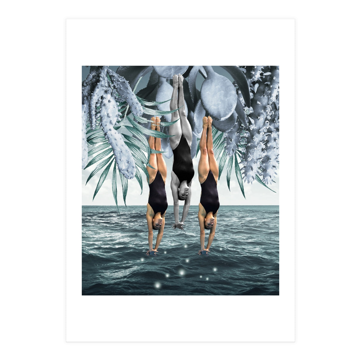 Dive Into (Print Only)