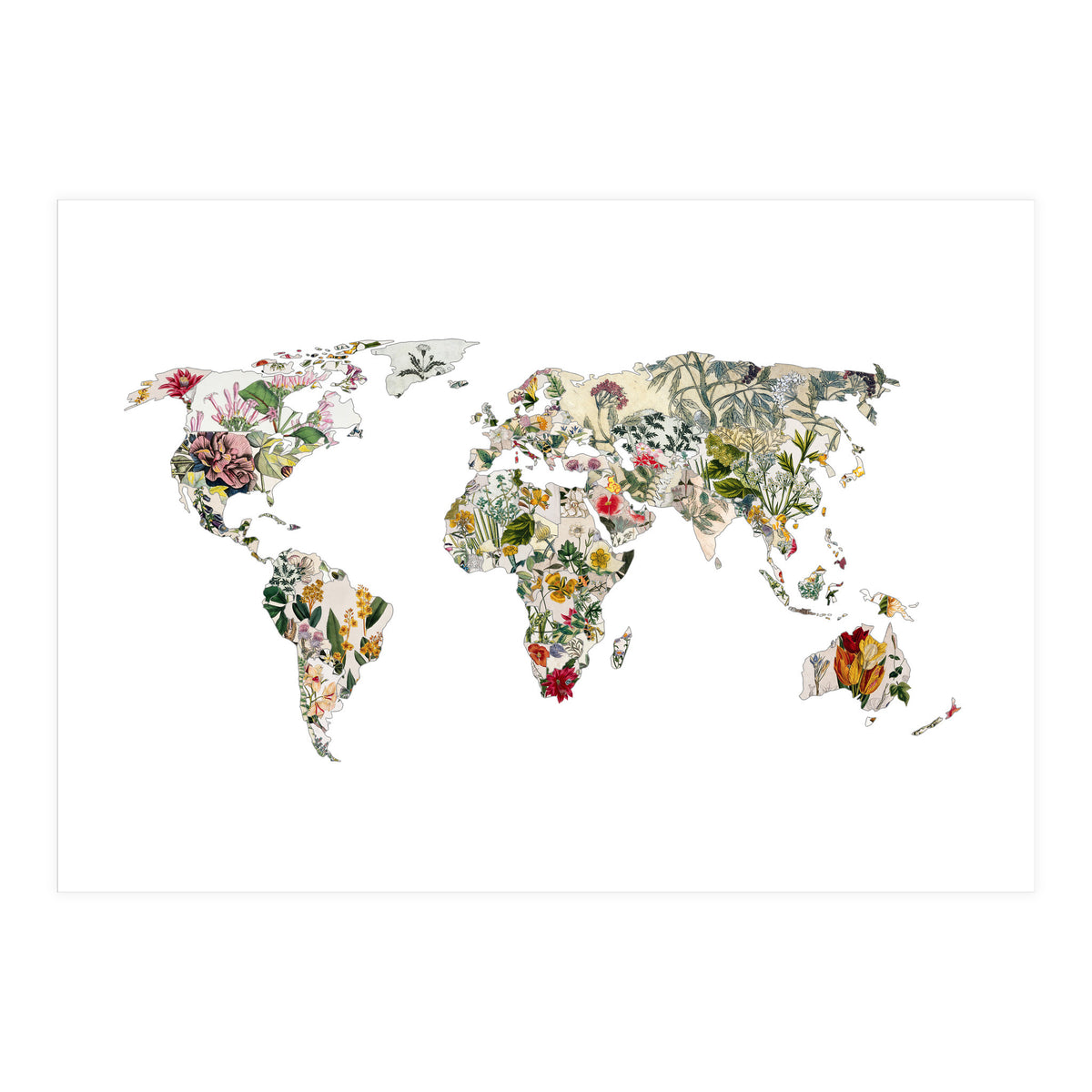 Vintage Botanical Map (Print Only)