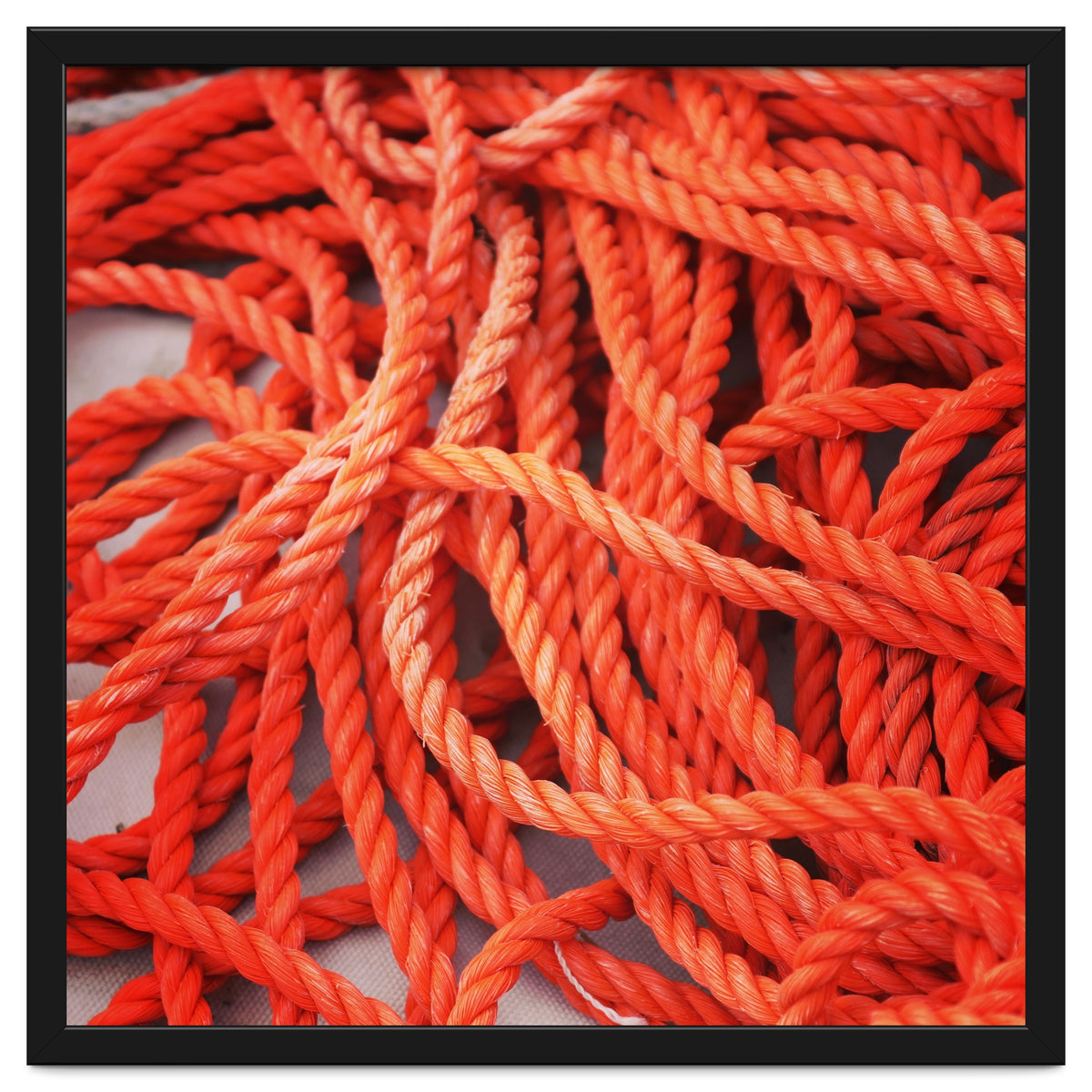 Orange ropes