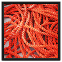 Orange ropes