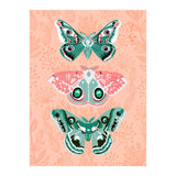 Lepidoptery No. 3 (Print Only) thumbnail