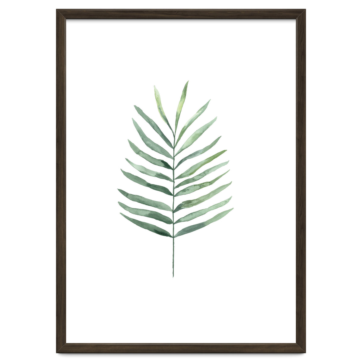 Botanical Illustration Fern