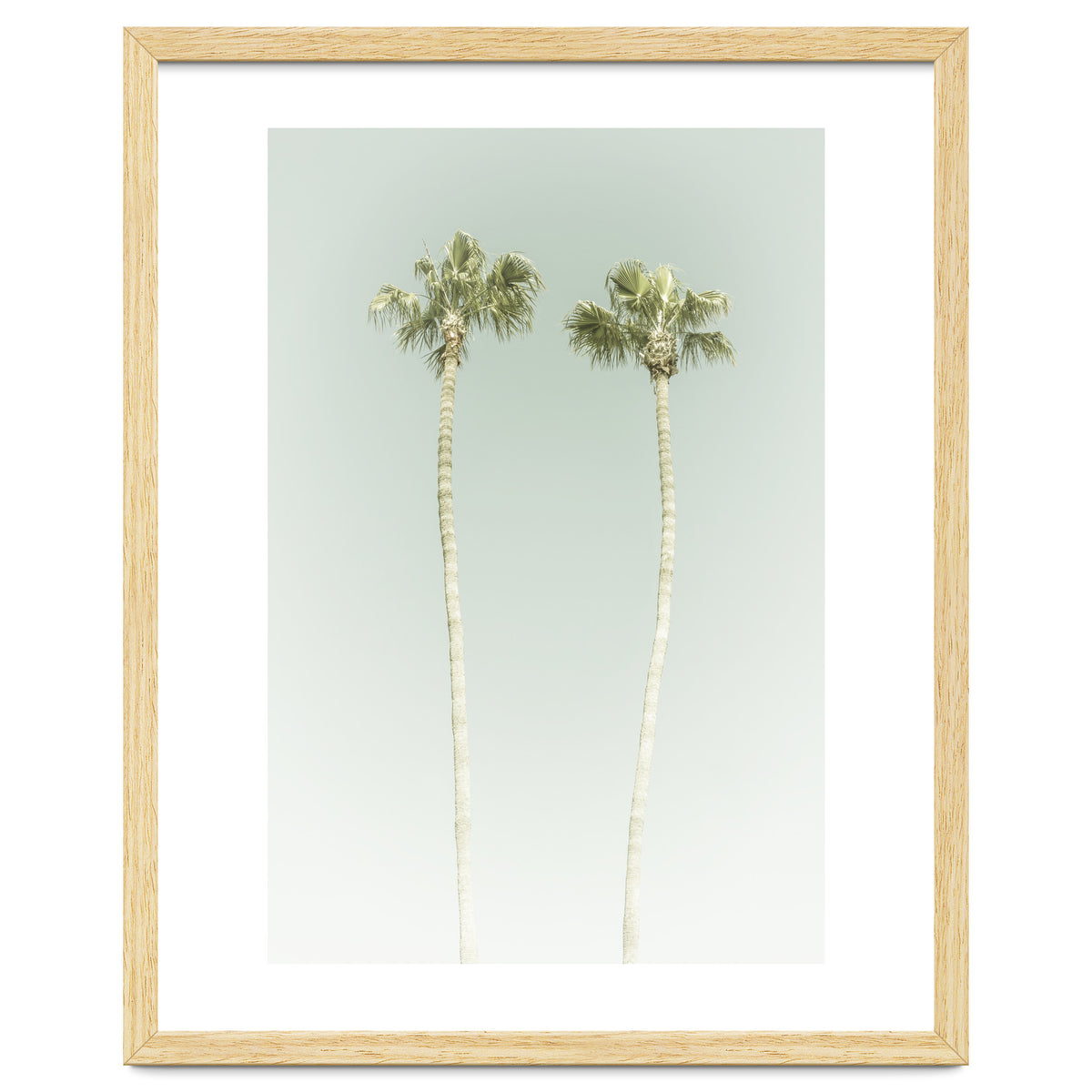 Vintage Palm Trees