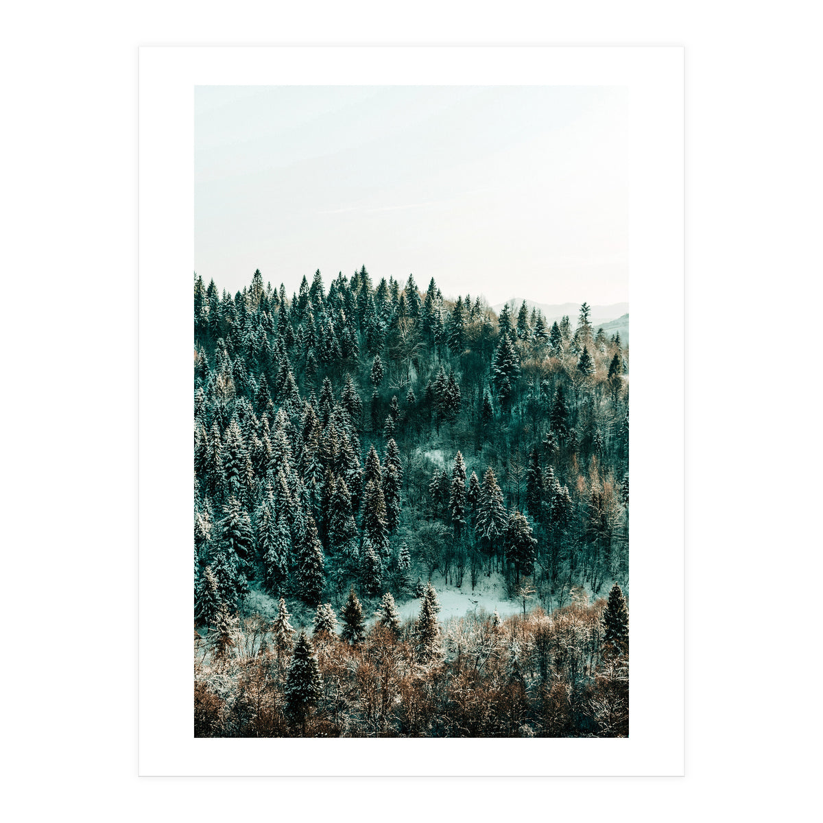 In The Wild (Print Only)