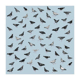 Pigeons Doing Pigeon Things (Print Only) thumbnail