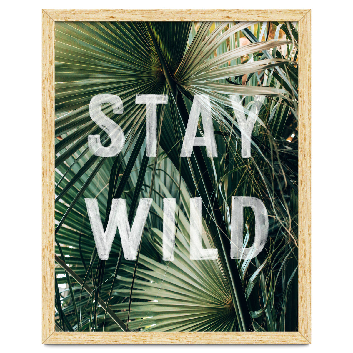 Stay Wild