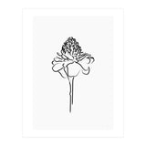 Black Flower (Print Only) thumbnail