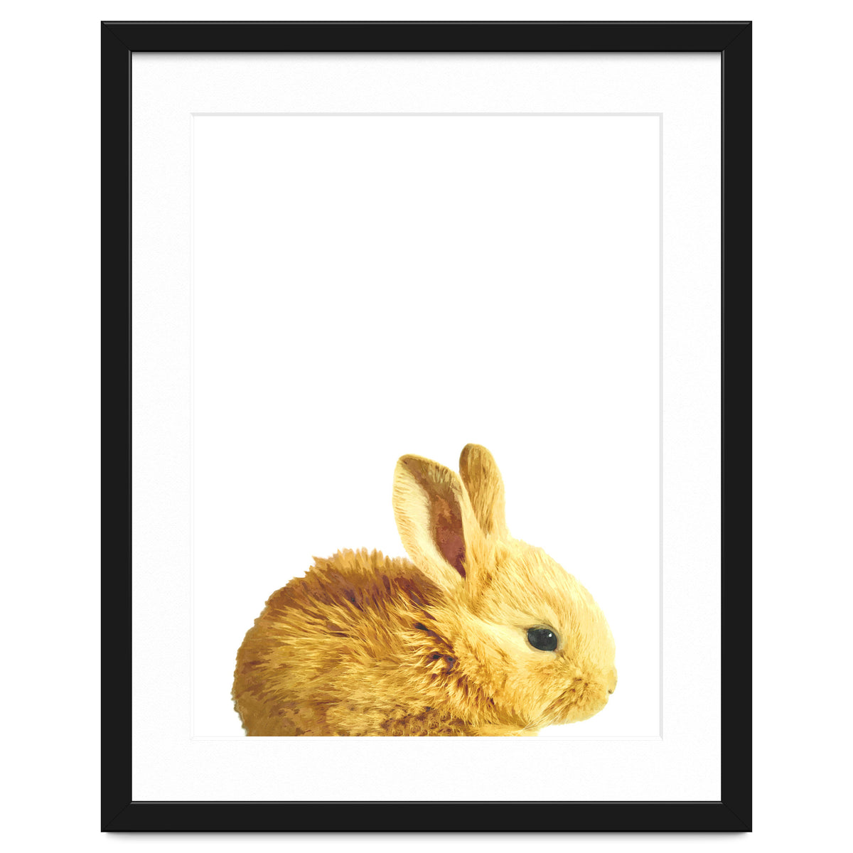 Bunny Portrait