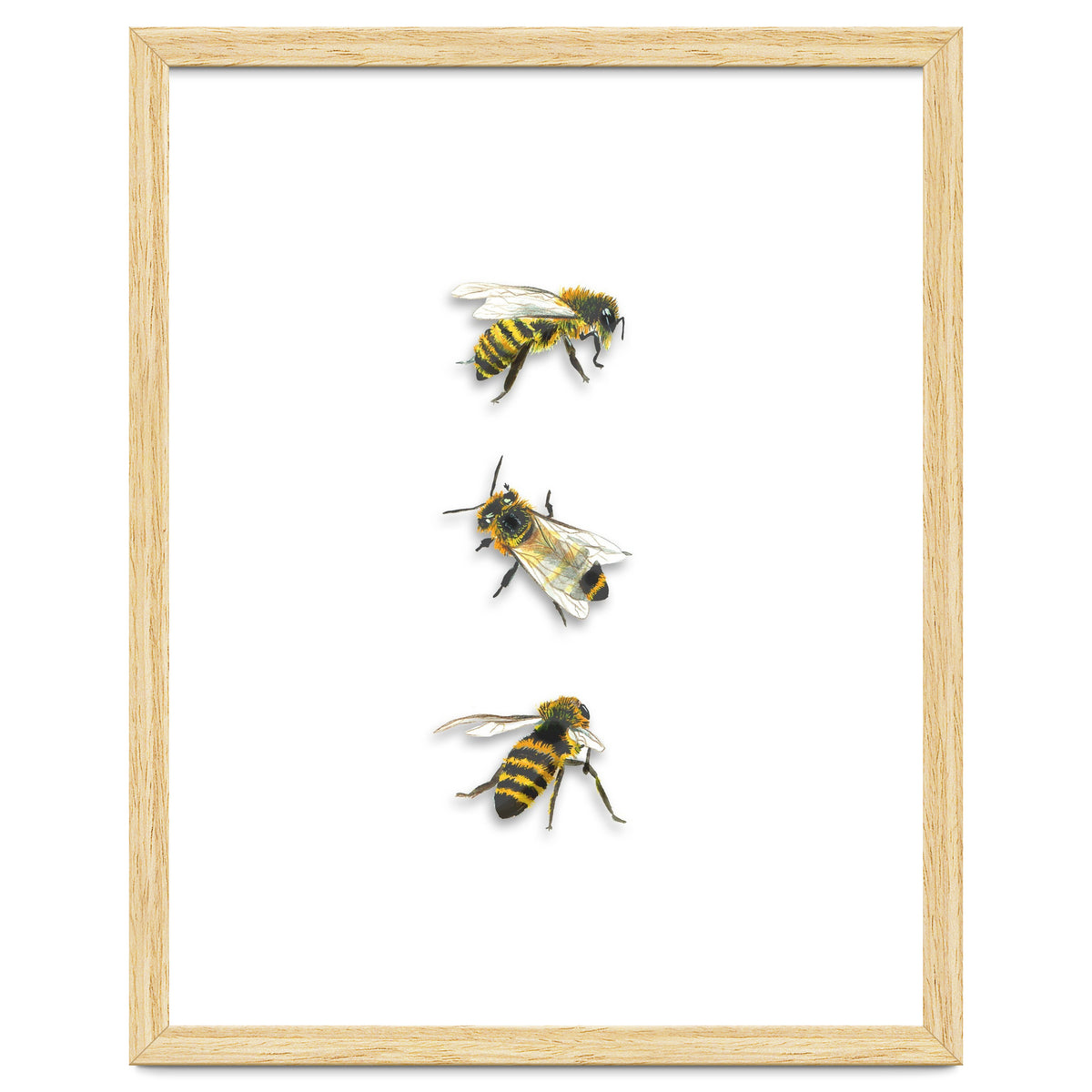 The 3 Bee's