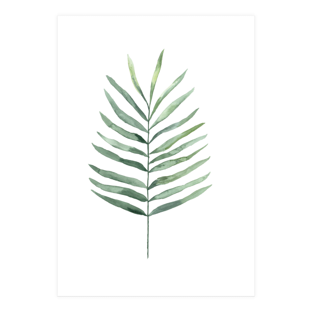 Botanical Illustration Fern (Print Only)