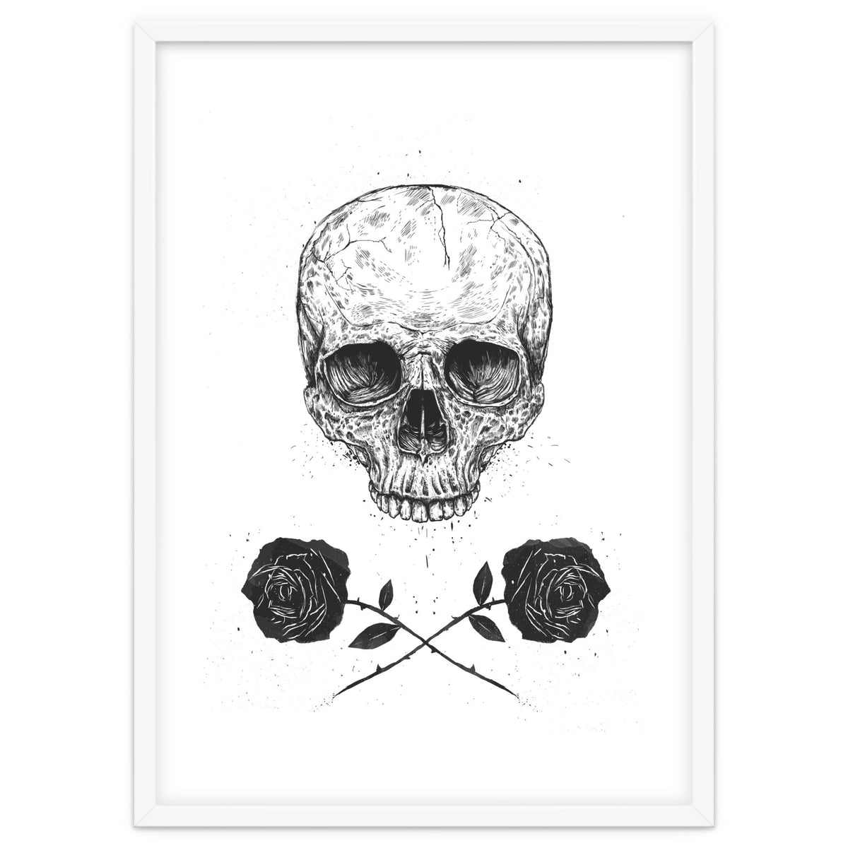 Skull N Roses