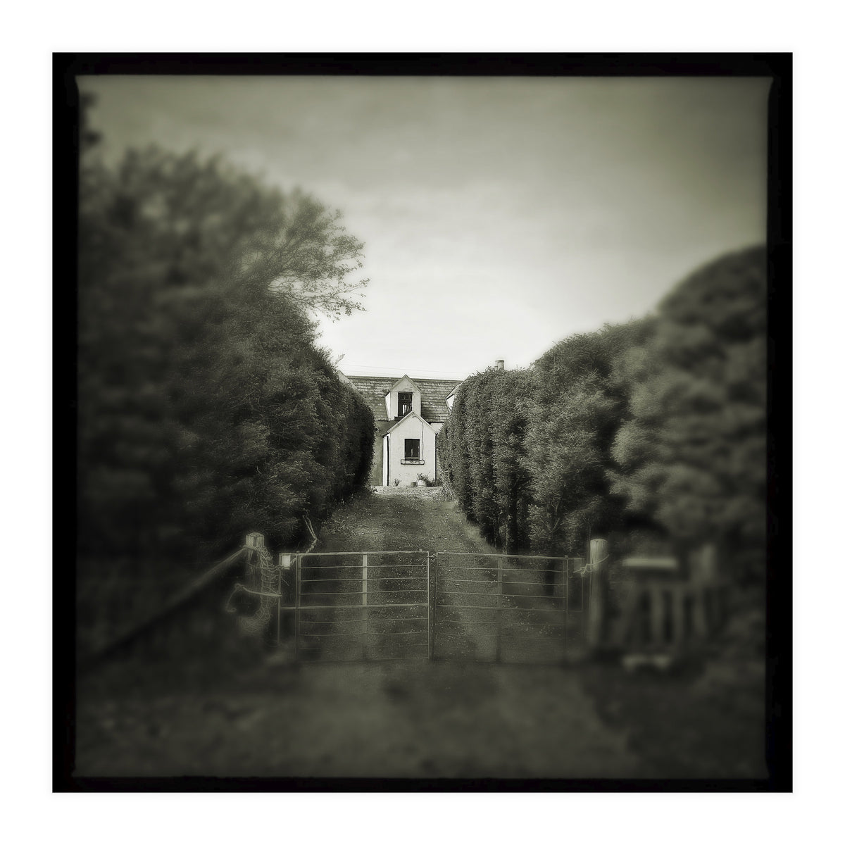 Waterstein 3 (Print Only)