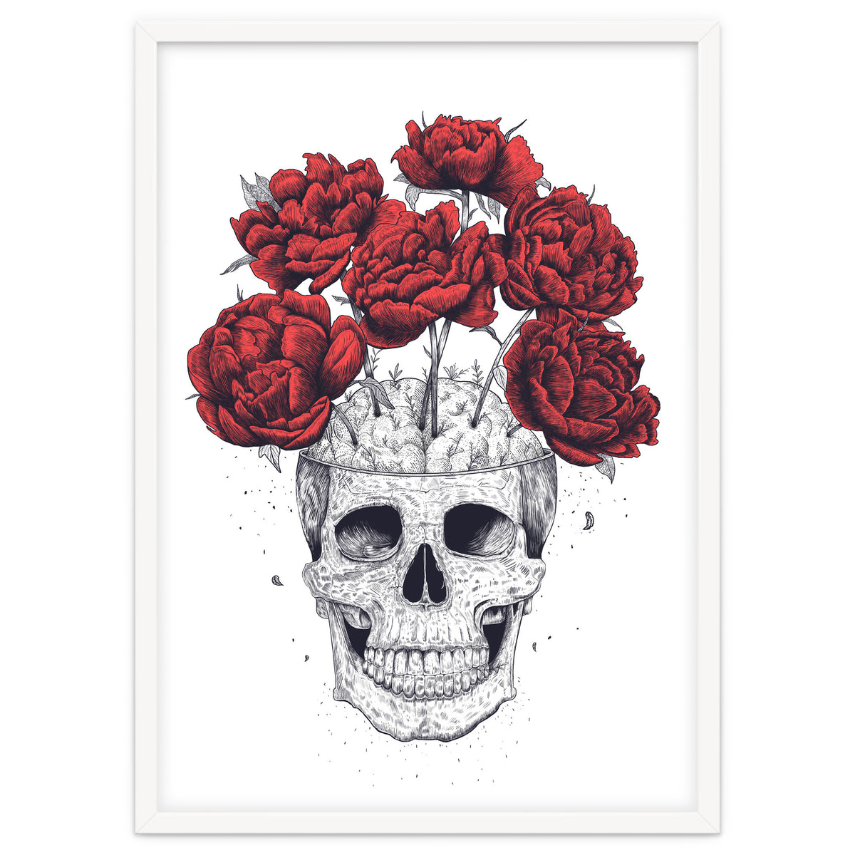 Skull With Peonies