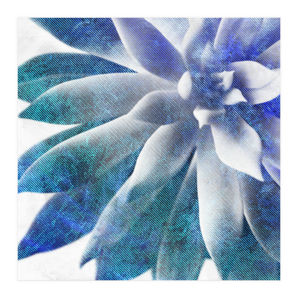 Rough Beauty 3 (Print Only)