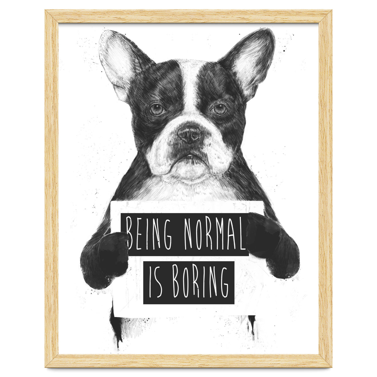 Being Normal Is Boring