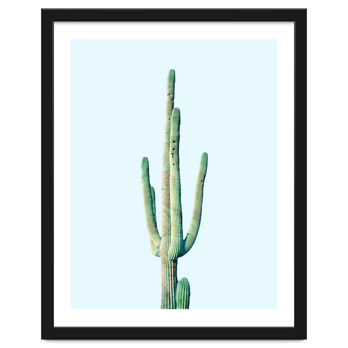 Loner Cactus