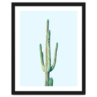 Loner Cactus