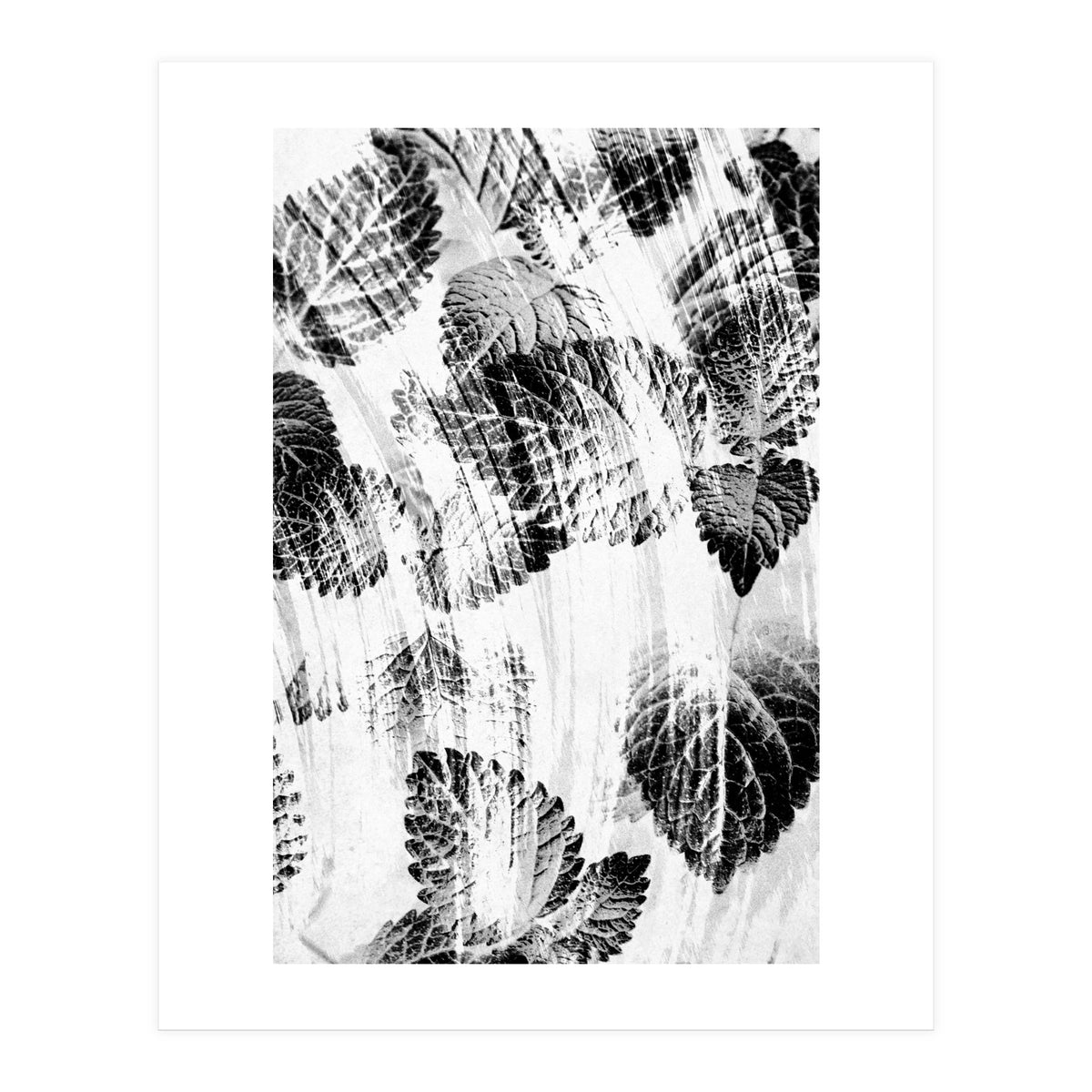 Raining Forest No6 (Print Only)