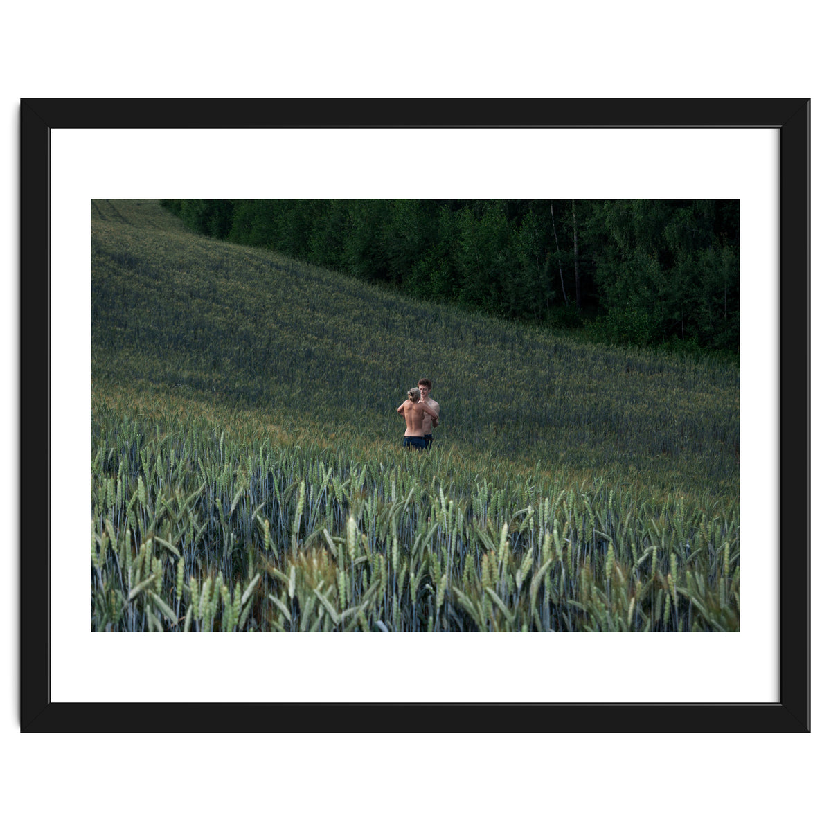 Endless Fields of Summer