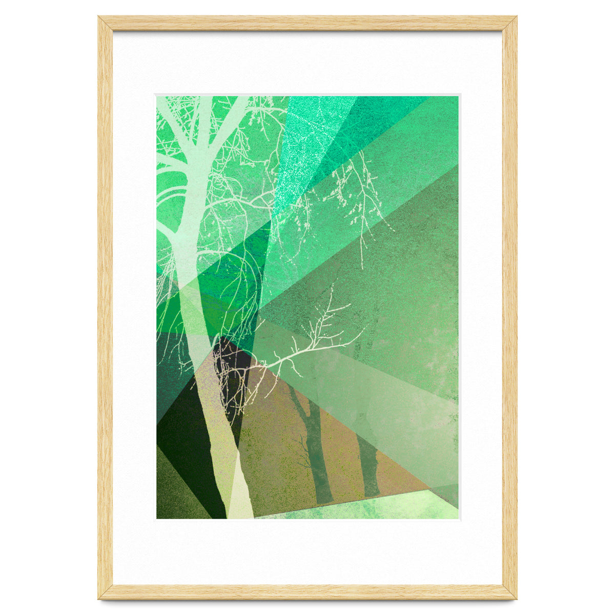 P22-B6 Trees And Triangles