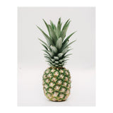 Pineapple (Print Only) thumbnail