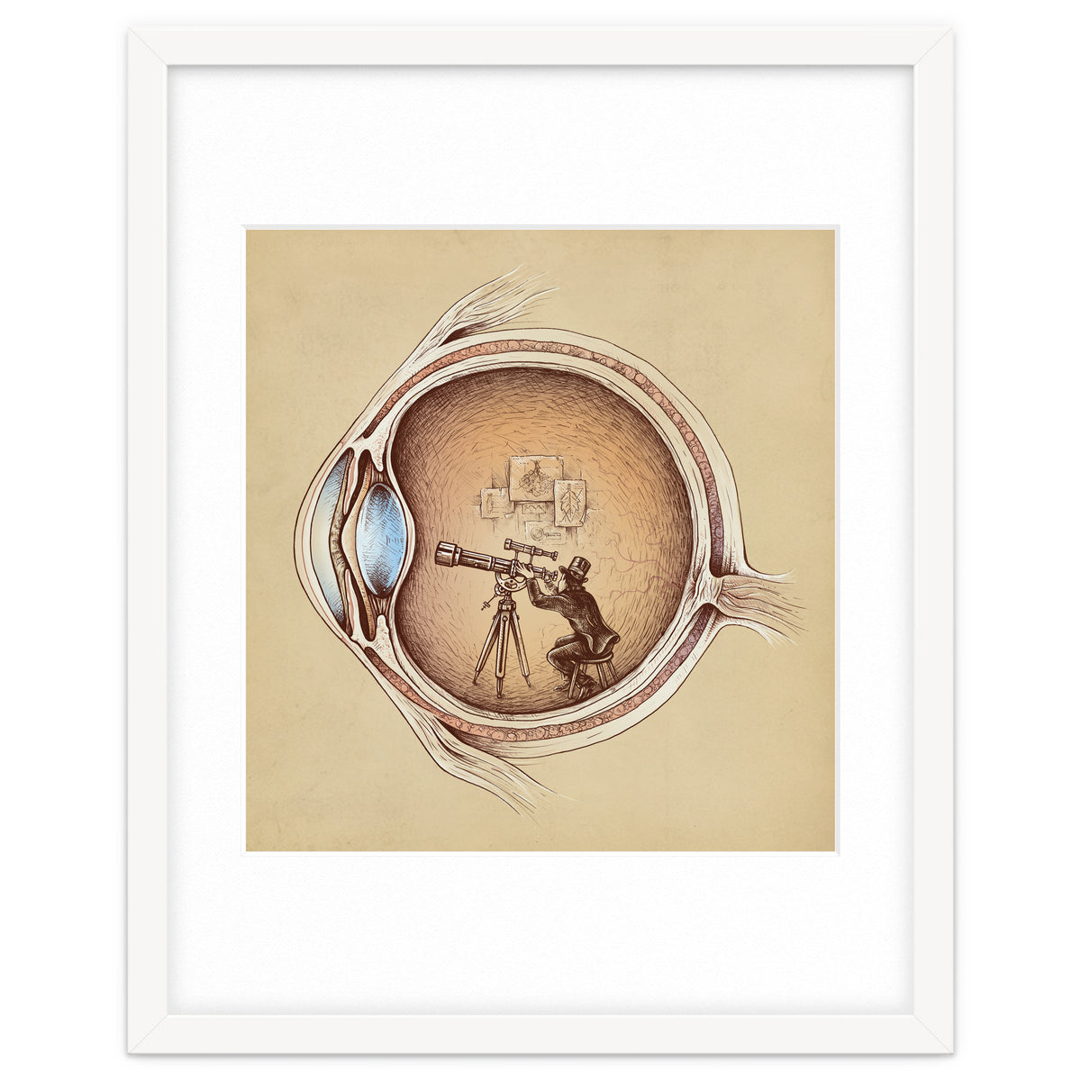 Extraordinary Observer