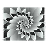 Black & White Floral (Print Only) thumbnail