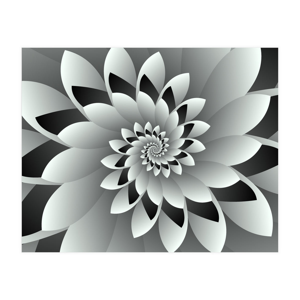 Black & White Floral (Print Only)