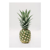 Pineapple (Print Only) thumbnail