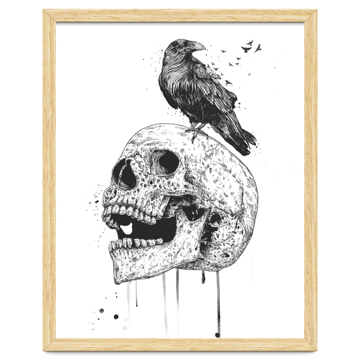 New Skull (bw)