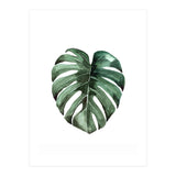 Botanical Illustration Monstera Deliciosa (Print Only) thumbnail
