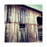 8 D13 Daf8 F8 F5 4621 A326 Cf1 B8 E3 C8084 (Print Only) thumbnail