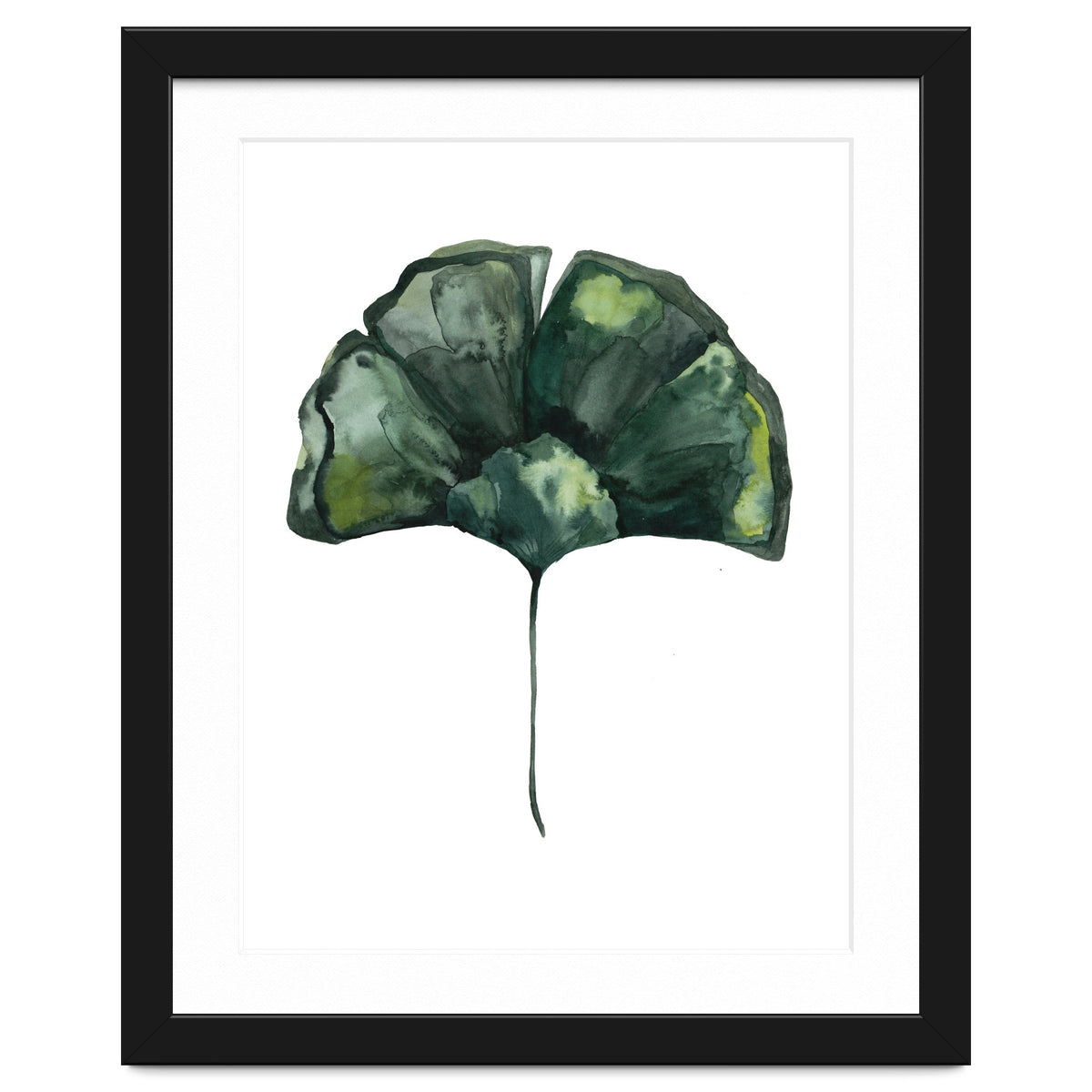 Botanical Illustration Ginko